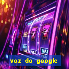 voz do google tradutor homem